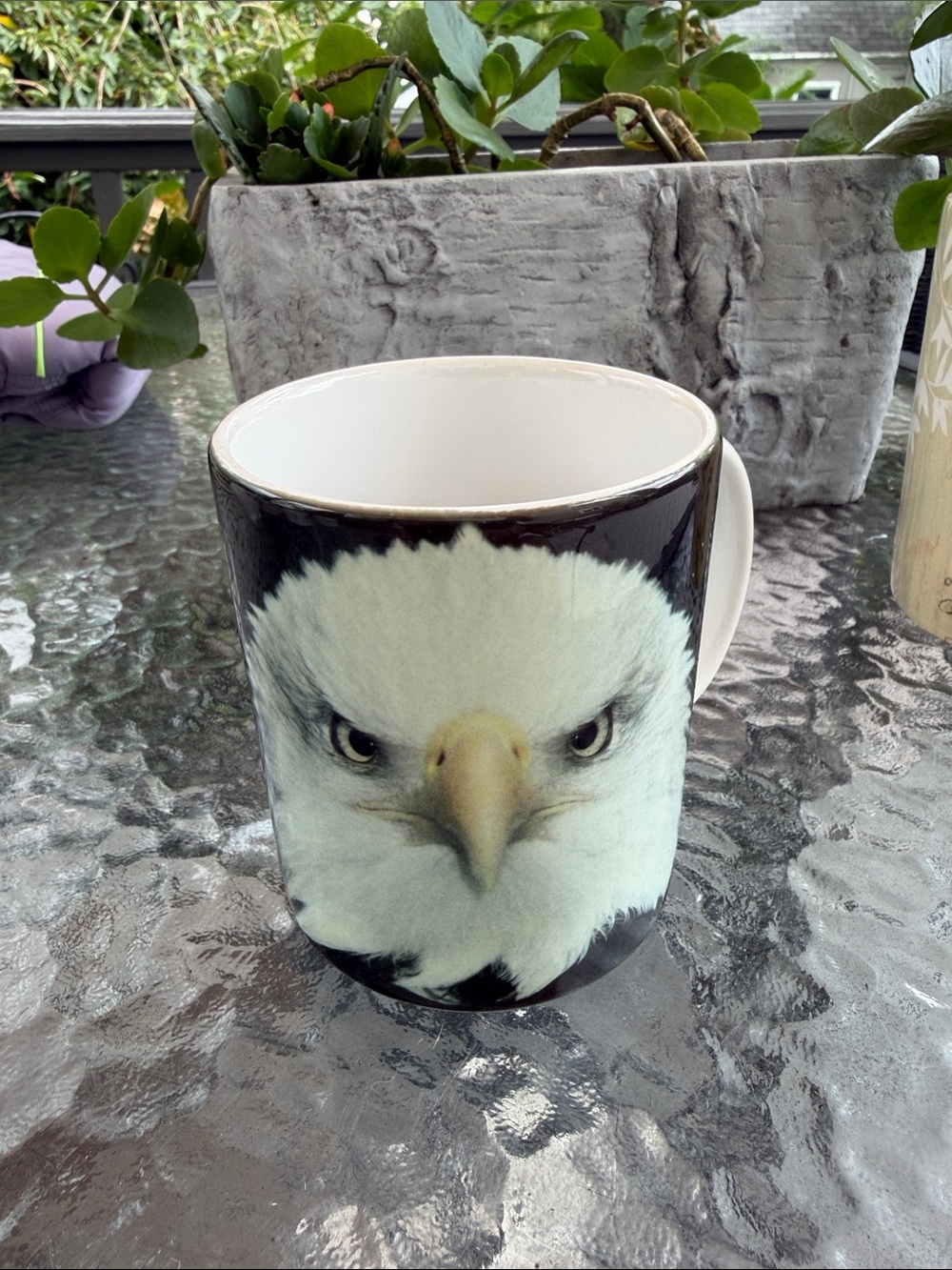 White Bald Eagle Ceramic Coffee Mug - Decorative Home Dining Cup
